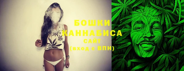 шишки Алексеевка