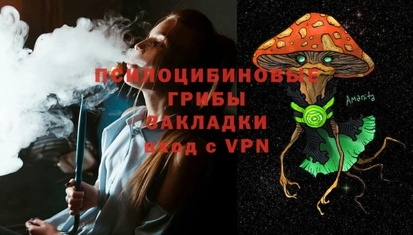 шишки Алексеевка