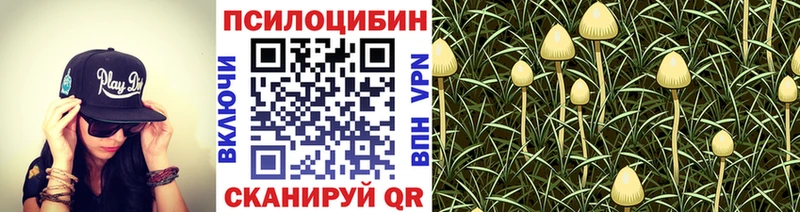 Галлюциногенные грибы ЛСД Грозный