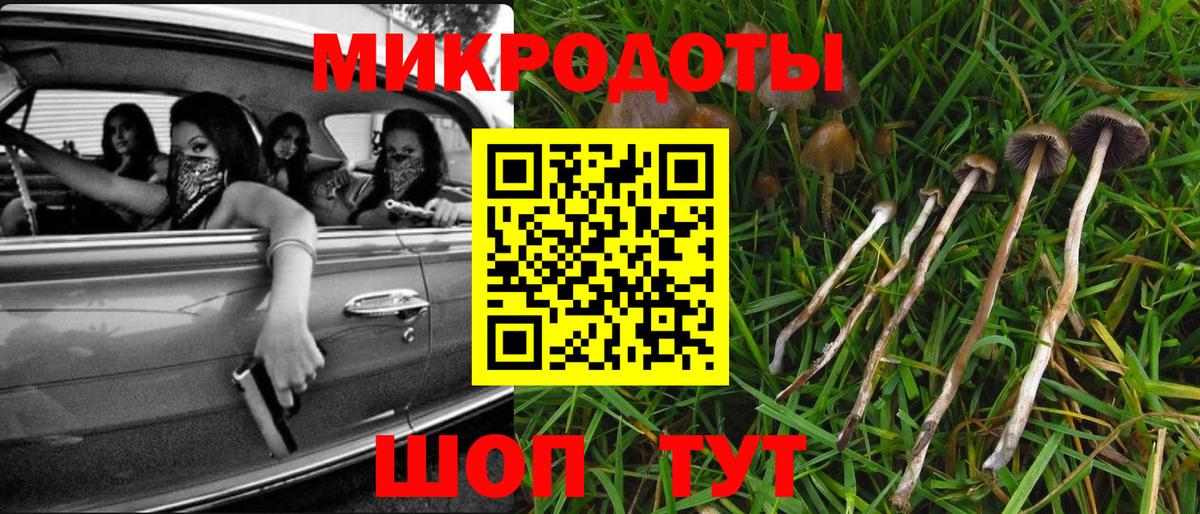 Грозный  Галлюциногенные грибы мухоморы  Вход с VPN 
