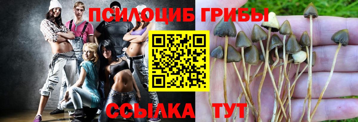 Псилоцибиновые грибы прущие грибы Грозный
