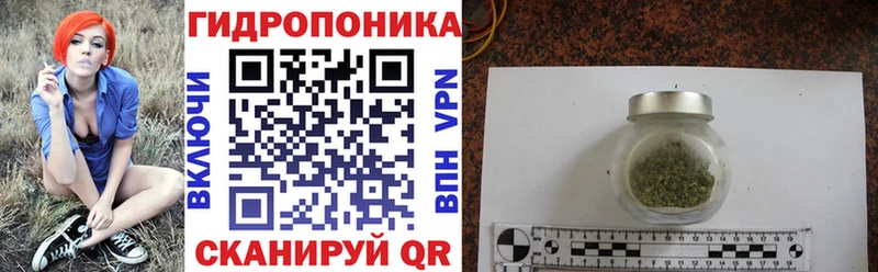 Бошки Шишки Amnesia Грозный